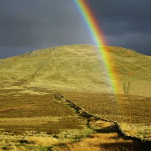 England, Northumberland, The Pennine Way. A rainbow above the Schil on the England