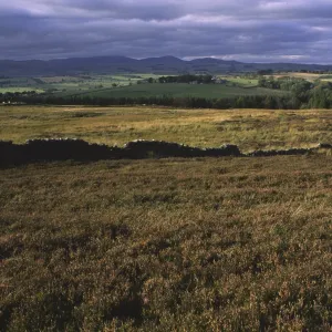 ENGLAND, Northumberland, Rothbury. The open moorland of the Rothbury Terraces a popular spot for local and