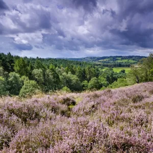 England, Staffordshire / Worcestershire, Kinver Edge