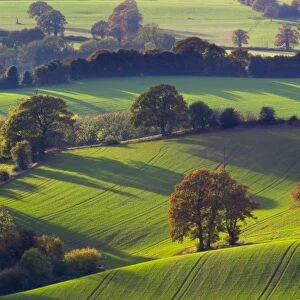 England, Staffordshire / Worcestershire, Kinver Edge. The rolling hills