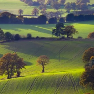 England, Staffordshire / Worcestershire, Kinver Edge. The rolling hills