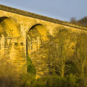 England, Tyne & Wear, Derwent Walk Country Park. The impressive Nine Arches Viaduct spanning the River Derwent in the Derwent Walk