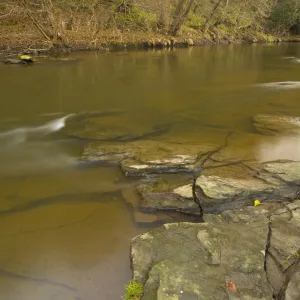 England, Tyne & Wear, Derwent Walk Country Park. The River Derwent running through Snipes Dene Wood