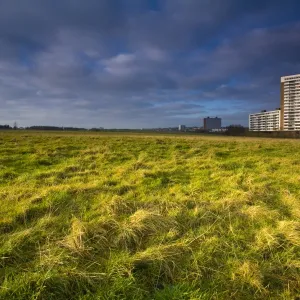 England, Tyne & Wear, Newcastle Upon Tyne. Nuns Moor with high rise flats of Kenton in the distance