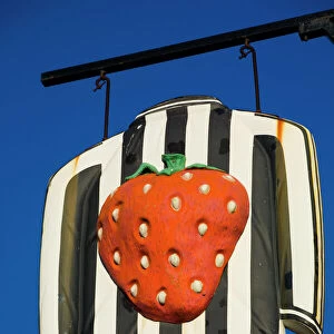 England, Tyne and Wear, Newcastle Upon Tyne. Newcastle United football strip immortalised as a sign for the Strawberry public house near St