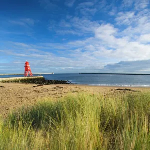 England, Tyne & Wear, South Shields. Grass on Little Haven Beach sand dunes