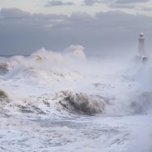 England, Tyne and Wear, Tynemouth