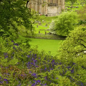 England, Yorkshire, Yorkshire Dales National Park