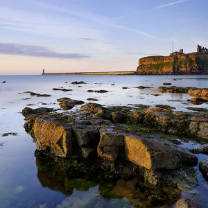 Just after dawn earlier today at King Edwards Bay in Tynemouth