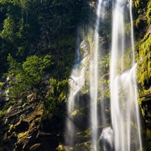 Laos, Ban Na Hin, Waterfall. Shafts of light pass through vegetation hanging to the rock face near a