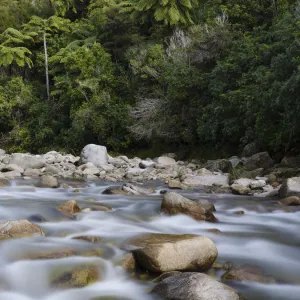 New Zealand, Nelson & Marlborough, Abel Tasman National Park