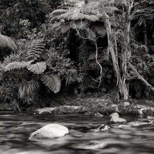 New Zealand, Nelson & Marlborough, Abel Tasman National Park