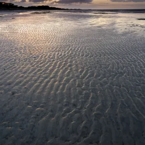 New Zealand, Nelson & Marlborough, Farewell Spit