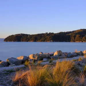 New Zealand, Nelson & Marlborough, Marahau