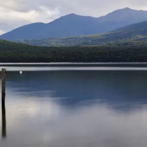 New Zealand, South Island, Lake Te Anau