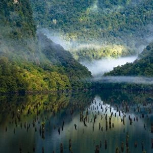 New Zealand, Southland, Fiordland National Park
