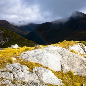 New Zealand, Southland, Fiordland National Park