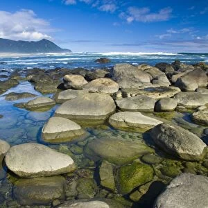New Zealand, Southland, Fiordland National Park. The coastline of Martins Bay