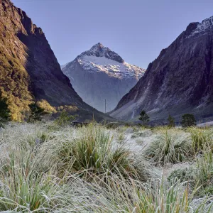 New Zealand, Southland, Fiordland National Park