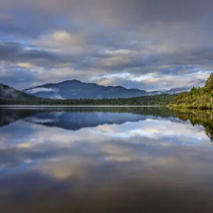 New Zealand, West Coast, Lake Paringa