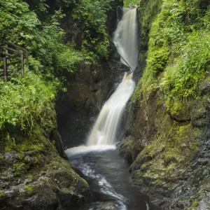 Northern Ireland, Country Antrim, Glenariff Forest Park