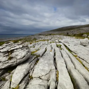 Republic of Ireland, County Clare, The Burren at Black Head