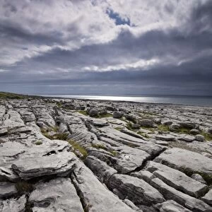 Republic of Ireland, County Clare, The Burren at Black Head