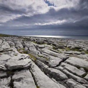 Republic of Ireland, County Clare, The Burren at Black Head