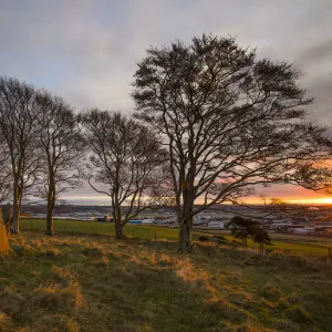 Scotland, Aberdeenshire, Tyrebagger Stone Circle