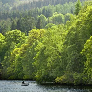 Scotland, Perth and Kinross, Pitlochry. Fishing from a boat on Loch Faskally