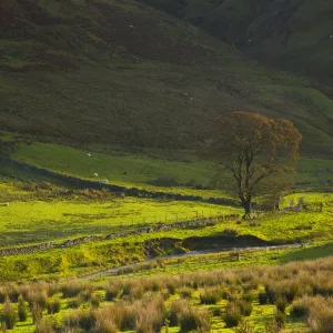 Scotland, Scottish Borders, Liddesdale