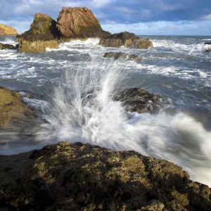 Scotland, Scottish Borders, St Abbs