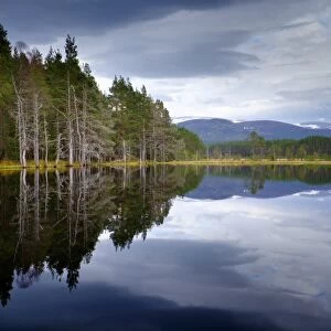 Scotland, Scottish Highlands, Cairngorms National Park