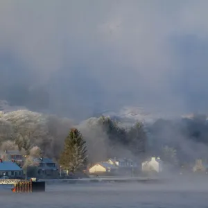 Scotland, Scottish Highlands, Corran. The Corran ferry port with hoarfrost covered woodland behind