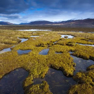 Scotland, Scottish Highlands, Glen Carron. Looking towards Glen Carron from the banks of Loch Carron, a sea loch shown here at