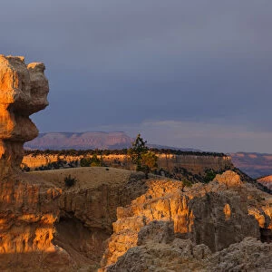United States of America, Utah, Bryce Canyon National Park