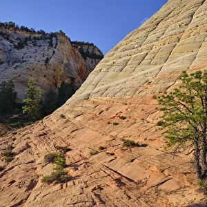 United States of America, Utah, Zion National Park
