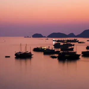 Vietnam, Northern Vietnam, Halong Bay. The pink sunset afterglow at dusk over Cat Ba harbour on Cat Ba