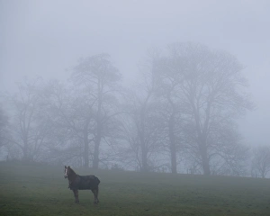 Images Dated 2014: April Collection