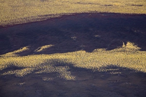 Images Dated 2007 February: 
