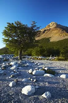 Back Packing Gallery: Argentina, Patagonia, Los Glaciares National Park. Early morning scene of a dry riverbed by