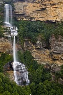 Walking Gallery: Australia, New South Wales, Blue Mountains National Park. Katoomba Falls and native bush