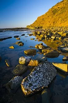 Australia, New South Wales, Royal National Park. Early morning light gently illuminates the picturesque coastline found