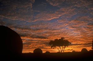 Australia Collection: AUSTRALIA, Northern Territory, Devils Marbles