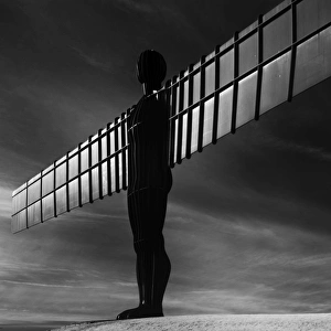 Fine Art Gallery: Black Angel