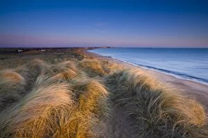 North Umberland Gallery: Blyth Beach and sand dunes shortly after dawn