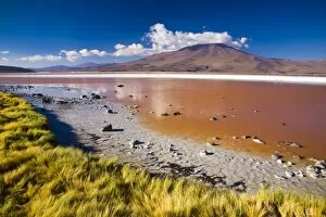 Images Dated 18th February 2007: Bolivia, Southern Altiplano, Laguna Colorada. The dramatic other world landscape of the Laguna