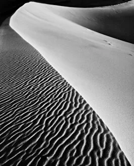 Fine Art Gallery: Dune Ridge