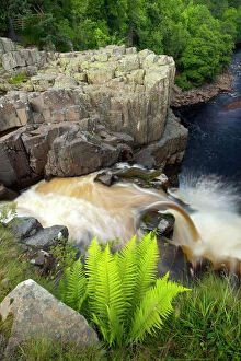 2011jfprints Gallery: England, County Durham, High Force. The River Tees cascades down the High Force waterfall in