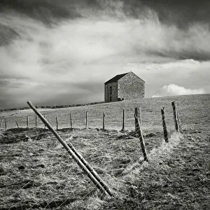 Durham Gallery: England, County Durham, Tees Dale